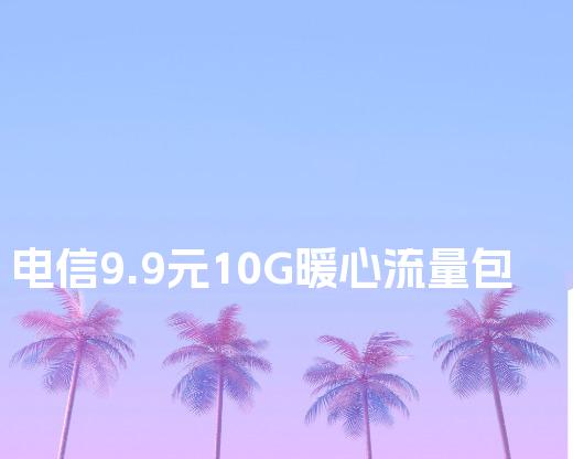 电信9.9元10G暖心流量包