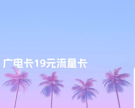 广电卡19元流量卡