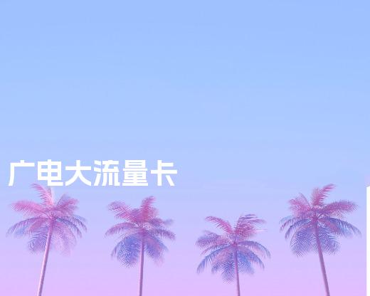 广电大流量卡